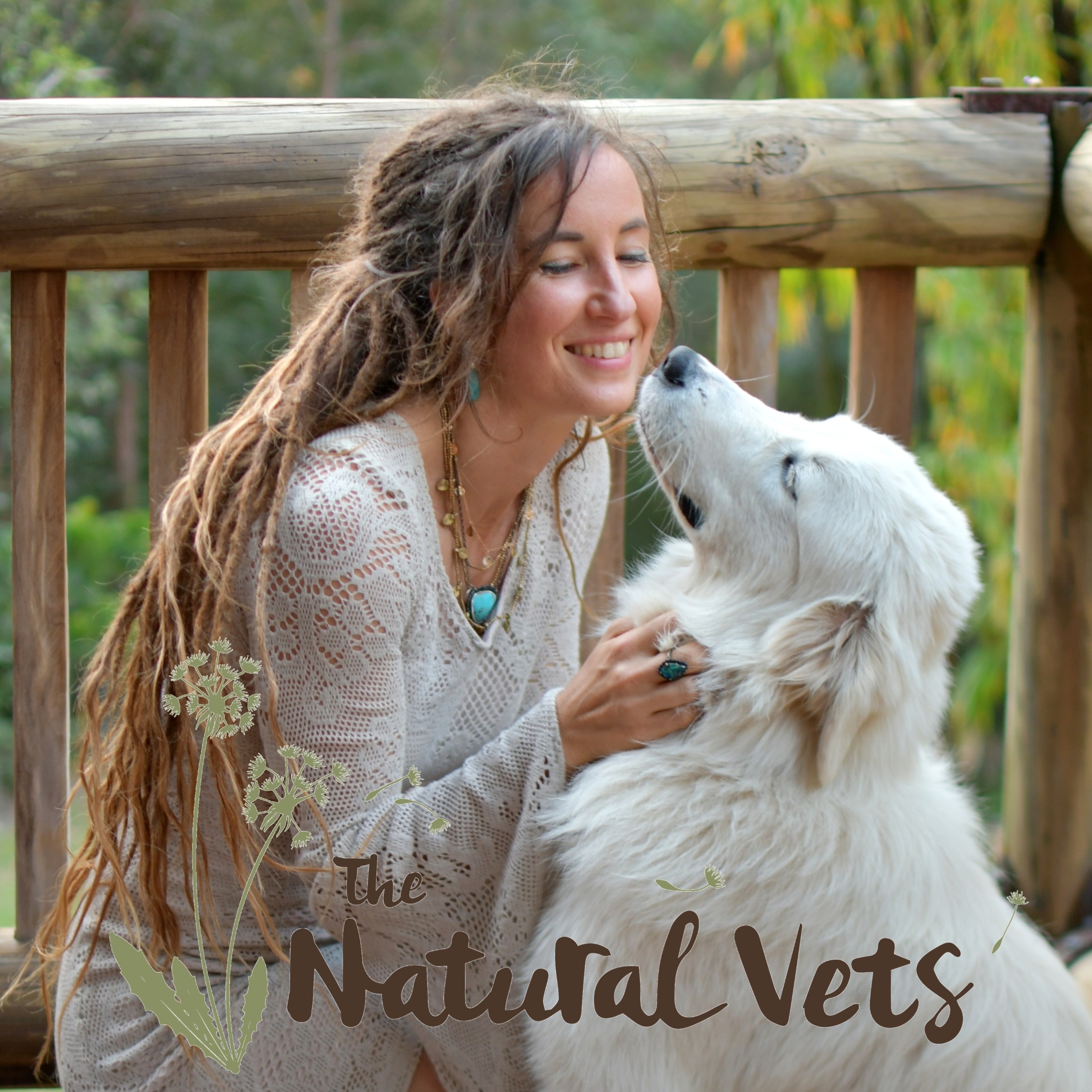 Path to Wellness – Complete Online Video Series for Dog Lovers – The  Natural Vets