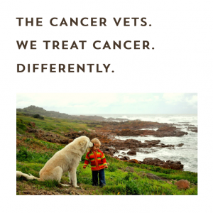 The Cancer Vets. We Treat Cancer. Differently - Cover Square